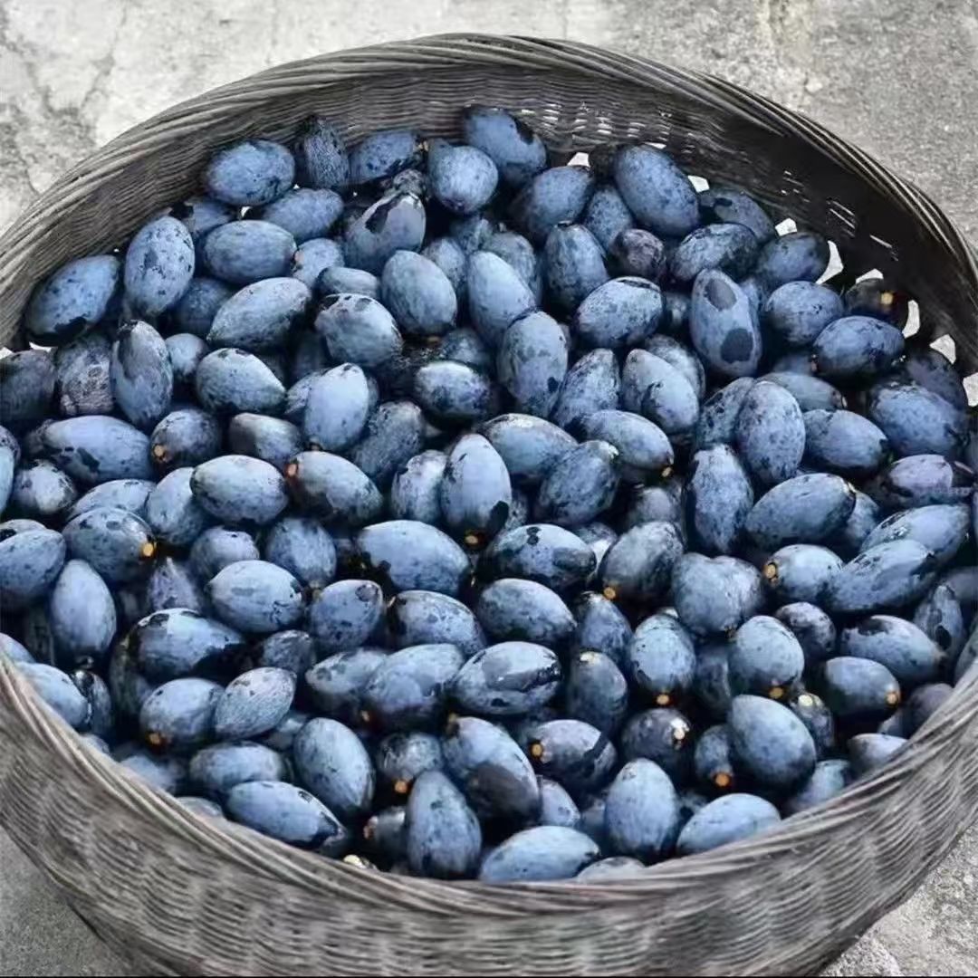 广州榄雕